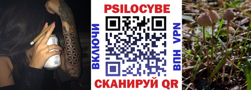 Псилоцибиновые грибы Cubensis  Купить закладки  Окуловка 